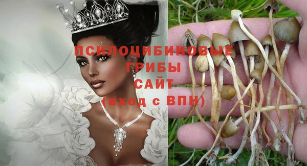 гидропоника Ельня