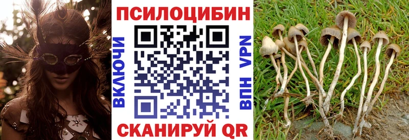 Псилоцибиновые грибы Cubensis  Купить  Разумное 